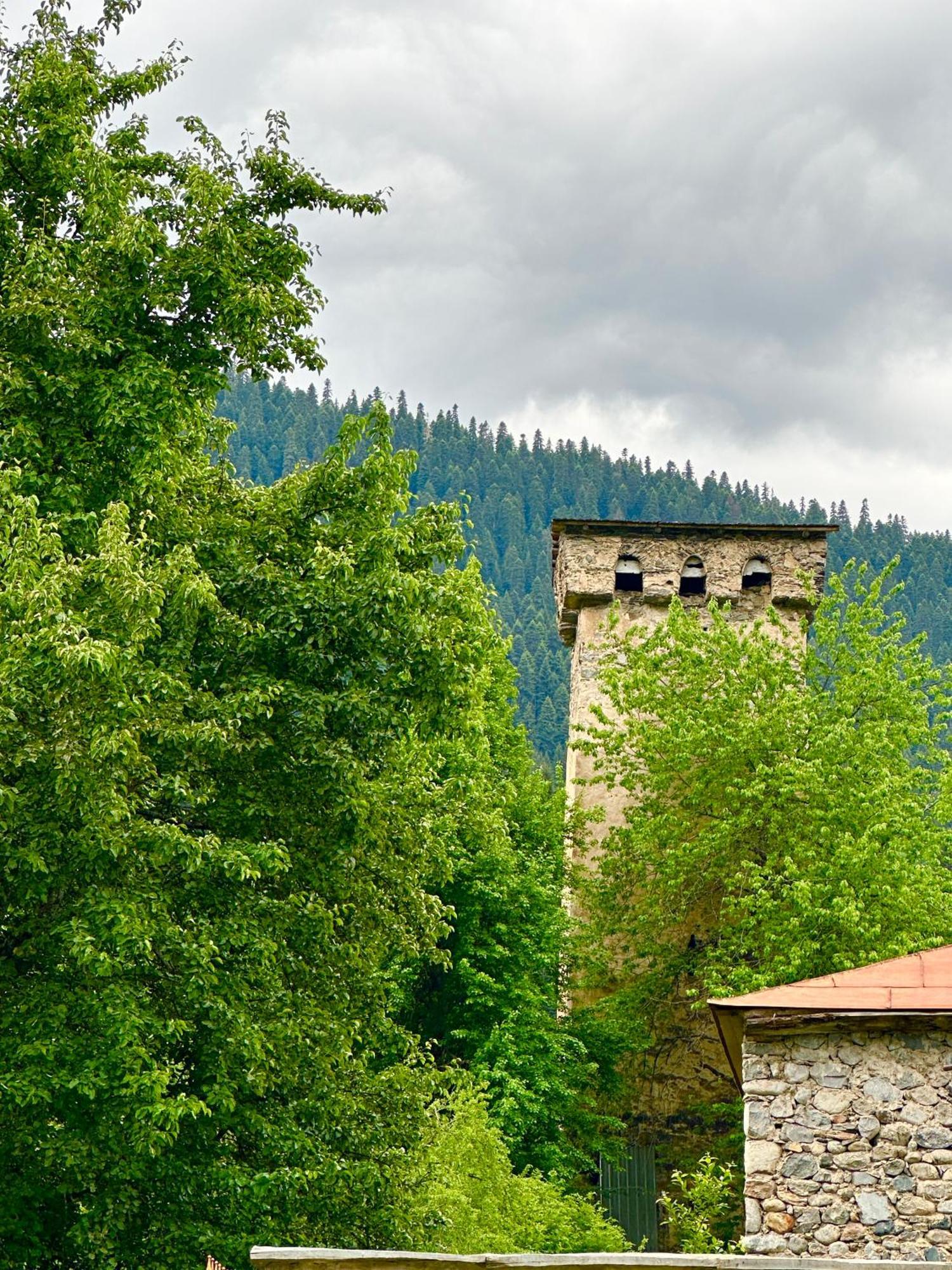 Mziuri Guest House Mestia Zewnętrze zdjęcie