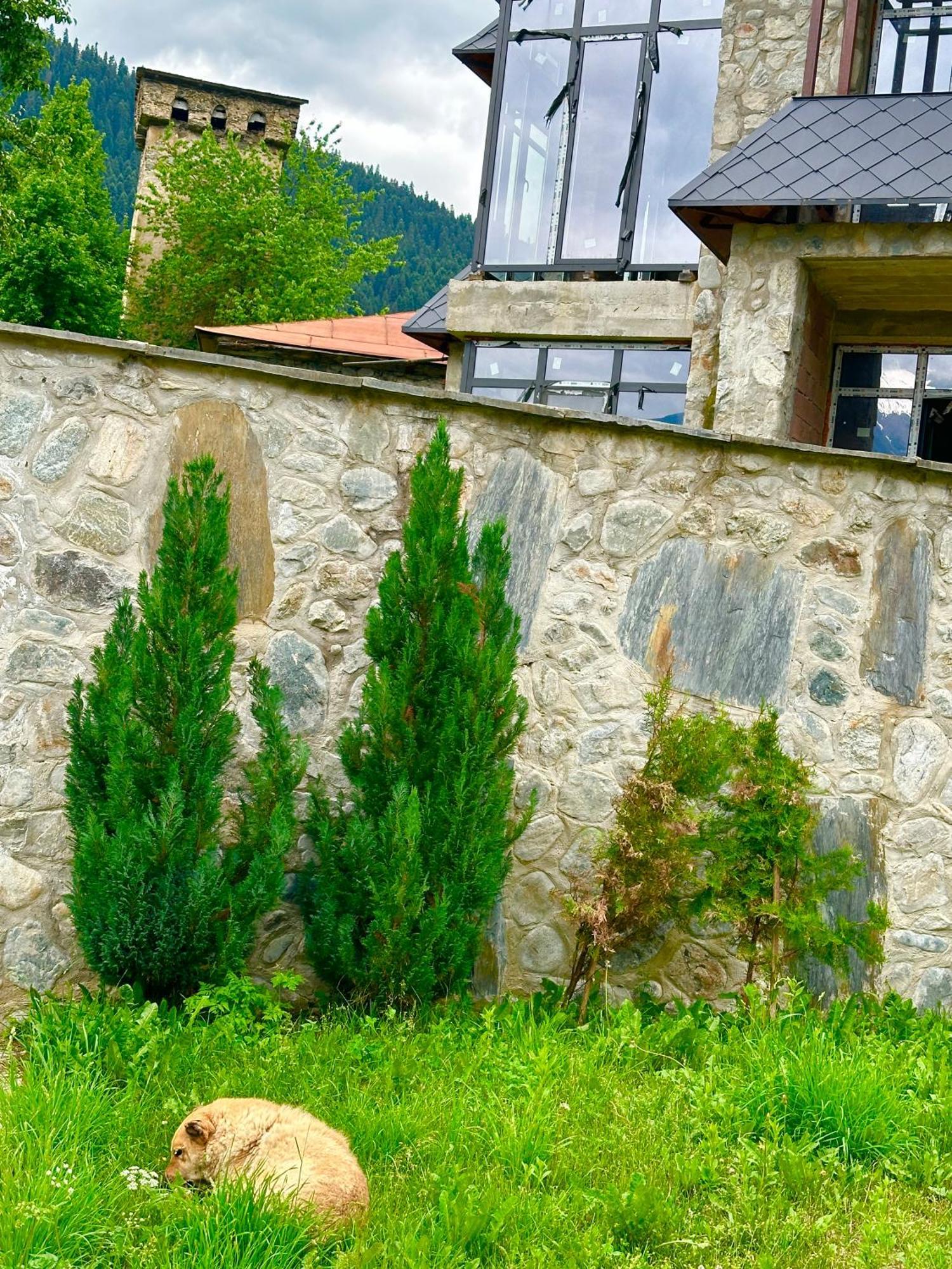 Mziuri Guest House Mestia Zewnętrze zdjęcie