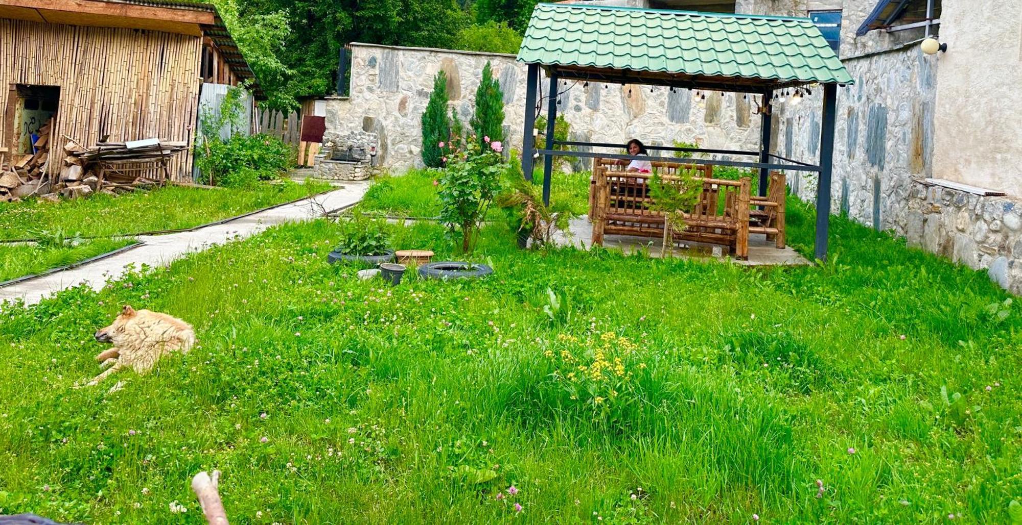 Mziuri Guest House Mestia Zewnętrze zdjęcie