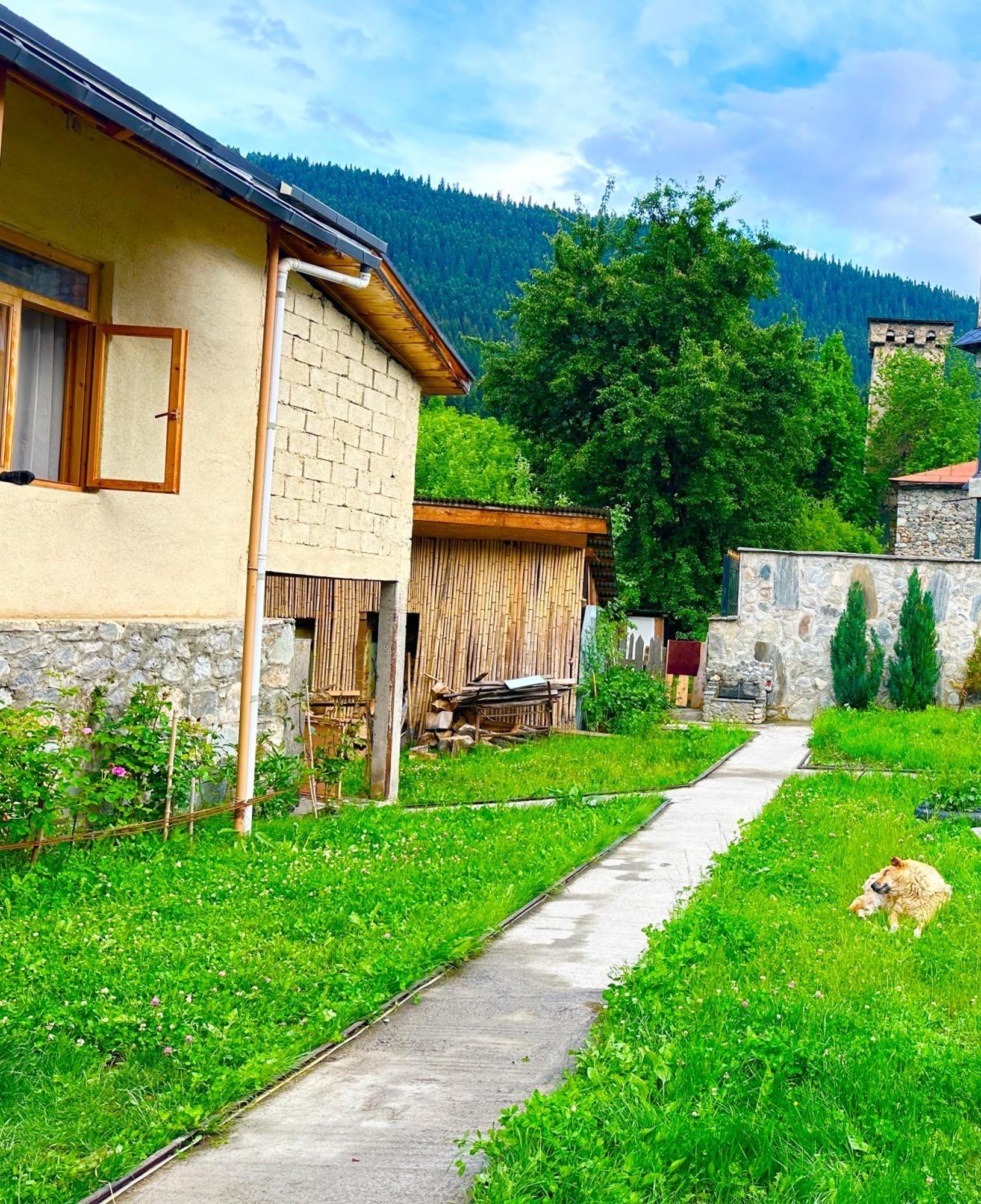 Mziuri Guest House Mestia Zewnętrze zdjęcie